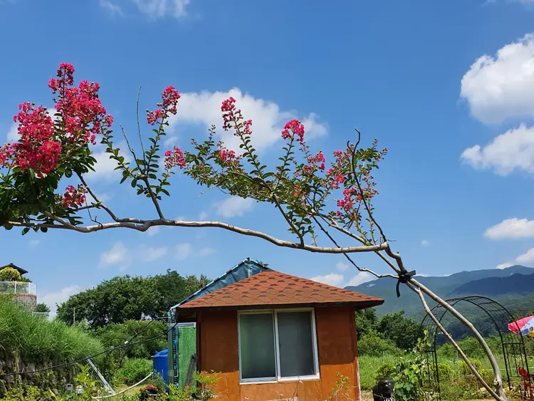 설봉농원 사진 2