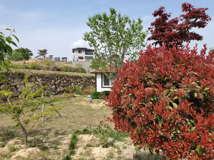 설봉농원 사진 3