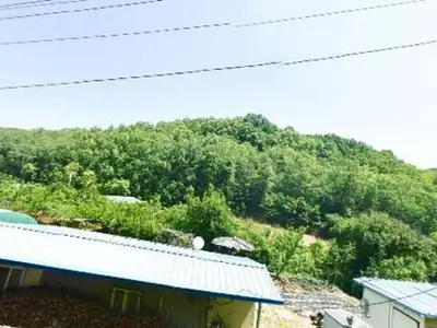 자두농원