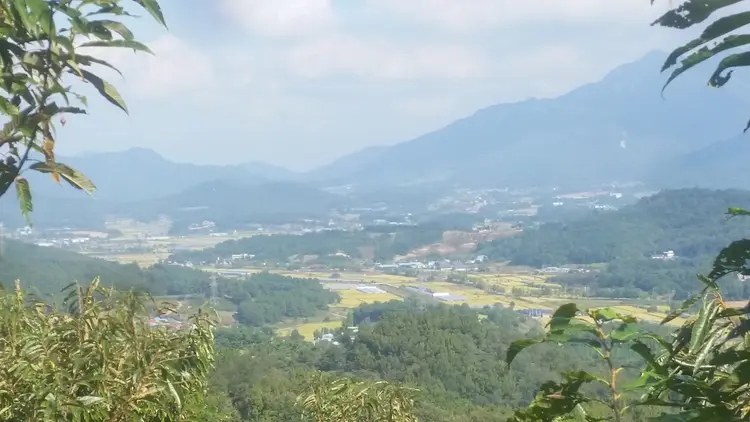 해룡알밤농장 사진 3