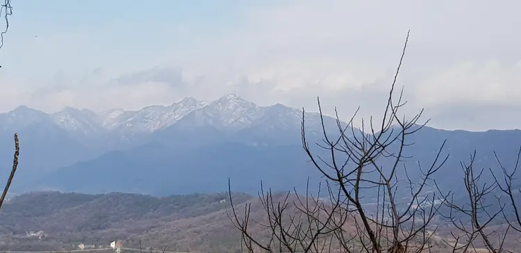 해룡알밤농장 사진 4