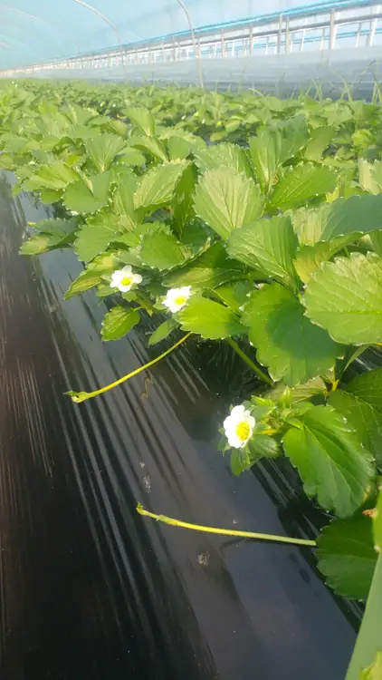 꼬마농장 사진 1