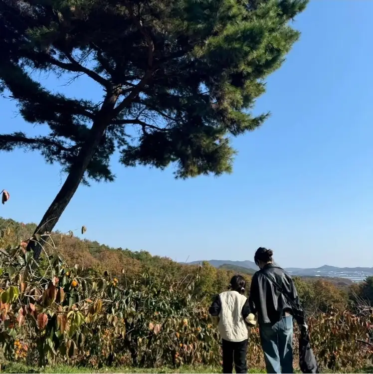 금드레 사진 3