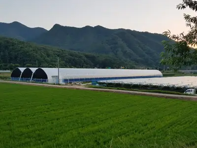 골드밸리팜