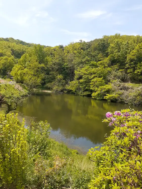 당진주말농장 사진 2