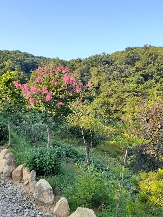 당진주말농장 사진 3