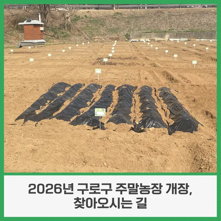 구로구주말농장 사진 2