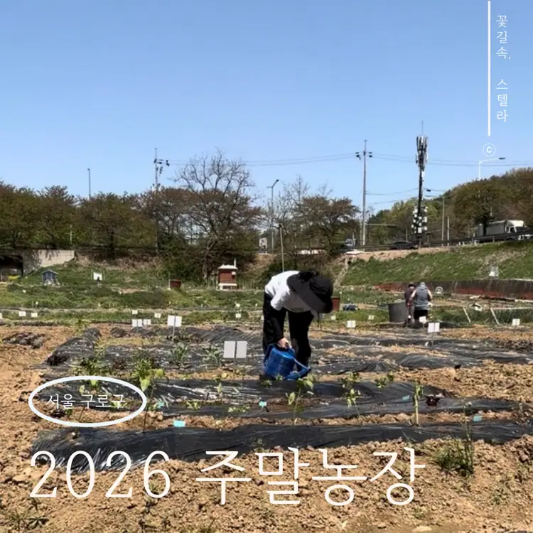 구로구주말농장 사진 4
