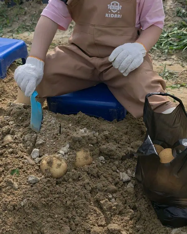 치유농장 뒤란 사진 2