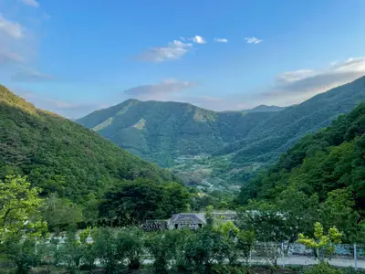 아빠의 숲