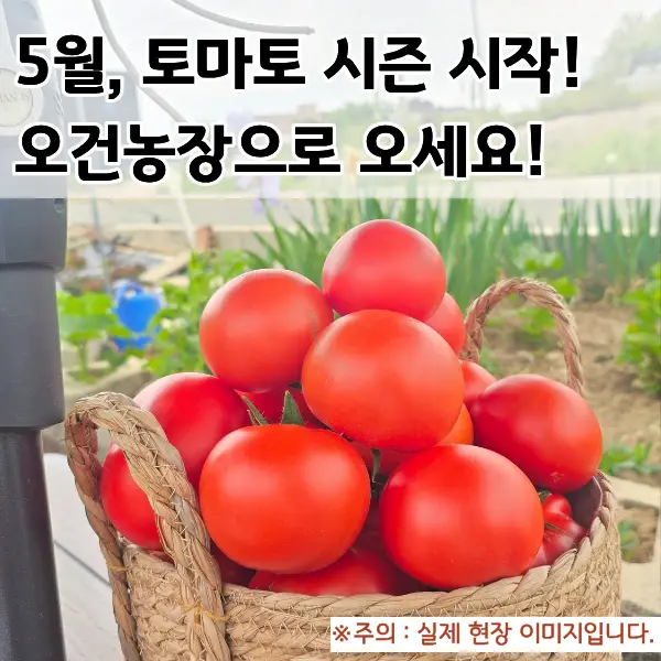 오건농장 사진 3