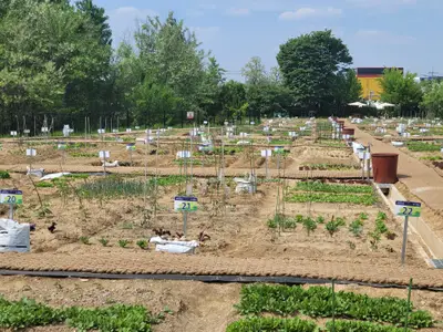 세곡천 제2힐링텃밭