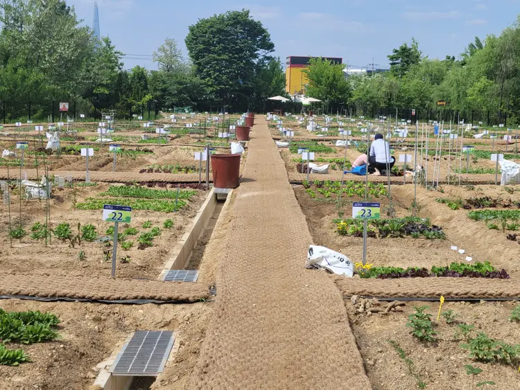 세곡천 제2힐링텃밭 사진 2