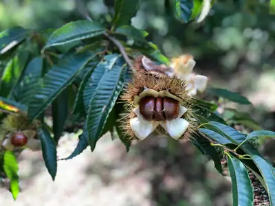 덕현목장