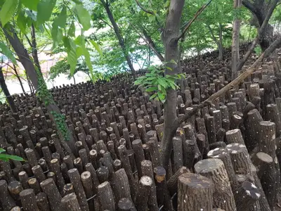 꿈에그린농원