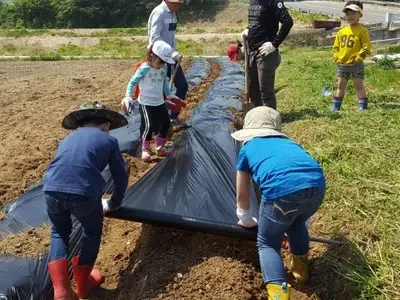 꿈바라기 체험센타