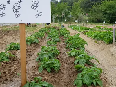 웰빙주말농장1농장