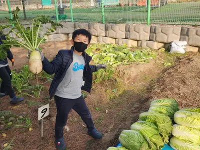 도봉산 주말농장