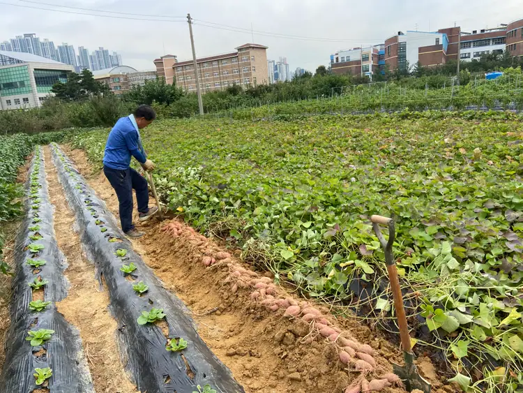 평화농장 사진 4