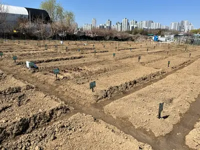 솔이텃밭2구역