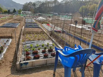 고산주말농장