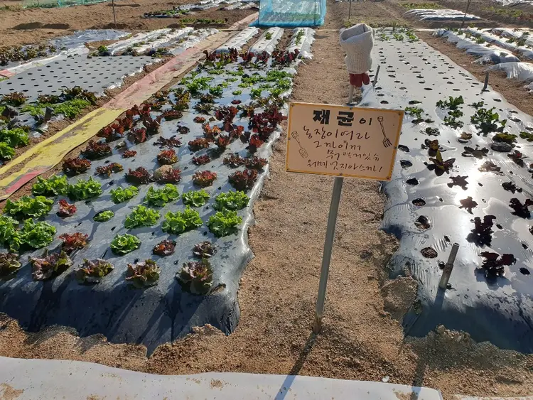 고산주말농장 사진 2