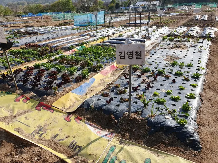 고산주말농장 사진 3