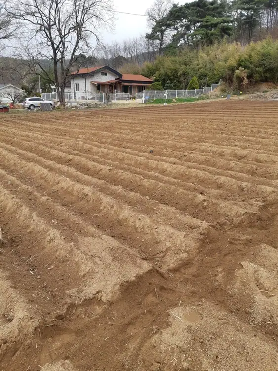 목달주말농장 사진 3
