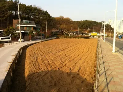 해피팜