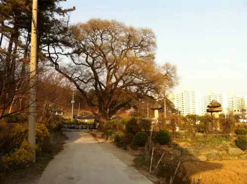 해피팜 사진 3