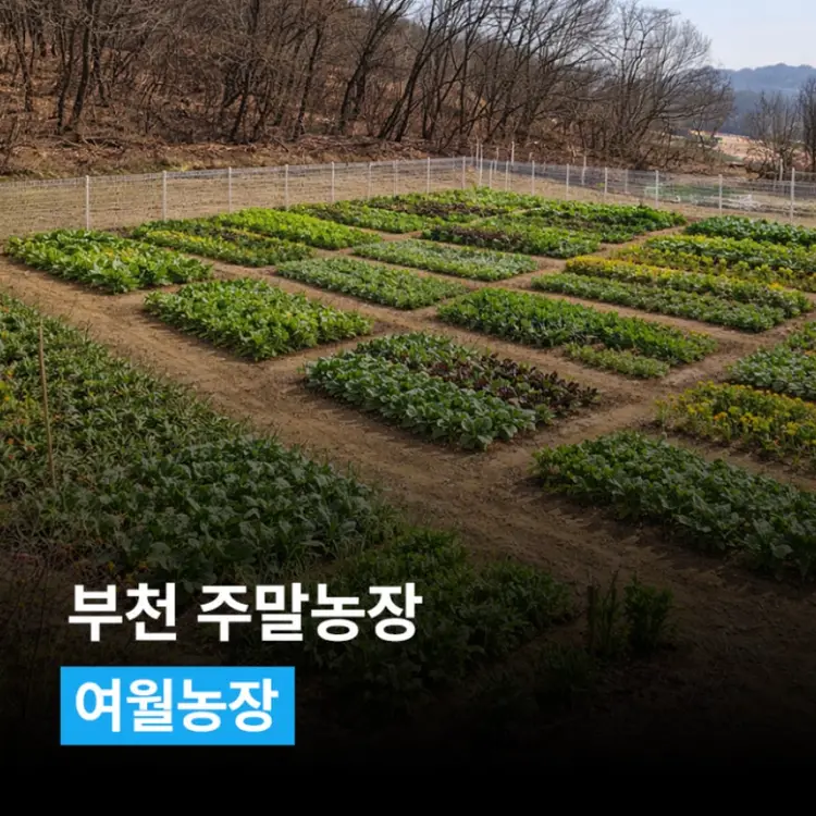 여월농장 사진 2