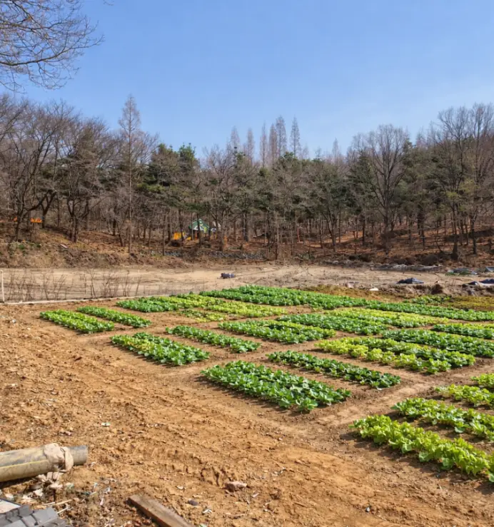 여월농장 사진 3
