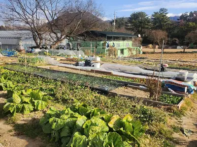 삼근농장