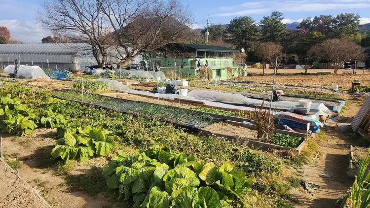 삼근농장 사진 1