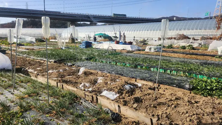 삼근농장 사진 2