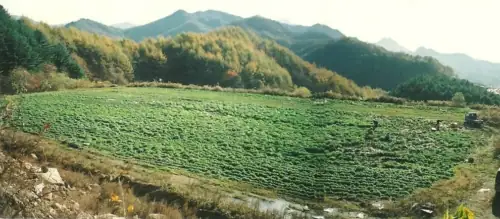 광덕산 산골농원 주말농장 사진 1