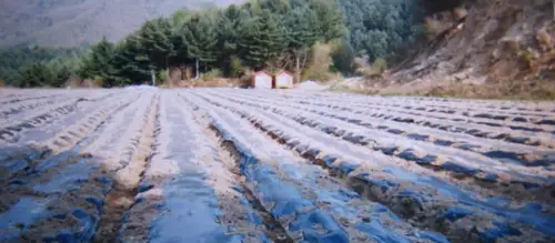 광덕산 산골농원 주말농장 사진 2