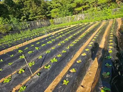 북한산웰빙버섯주말농장
