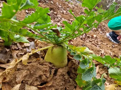 피싱파크 진산각주말농장