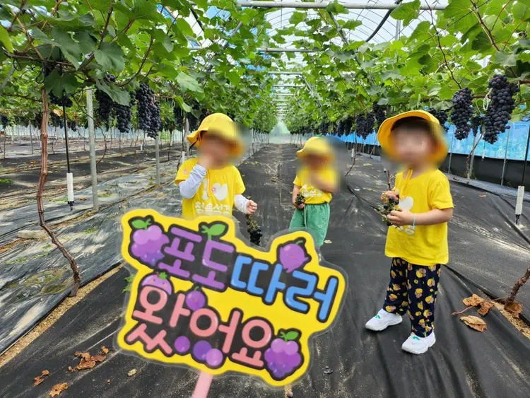 민준주말농장체험학습장 사진 2