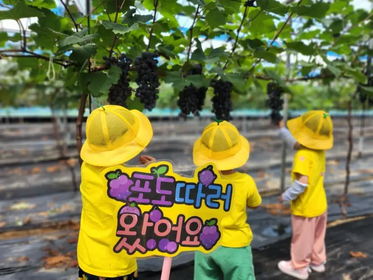 민준주말농장체험학습장 사진 3