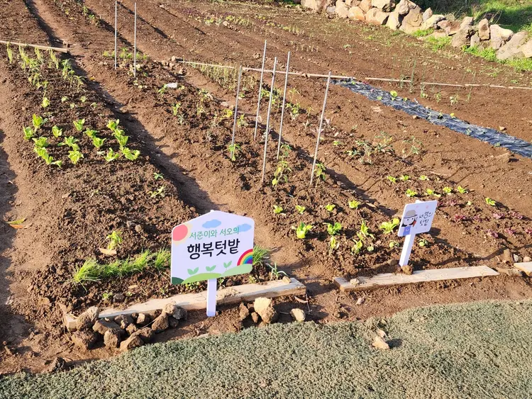 해피니스 그라운드팜 사진 5