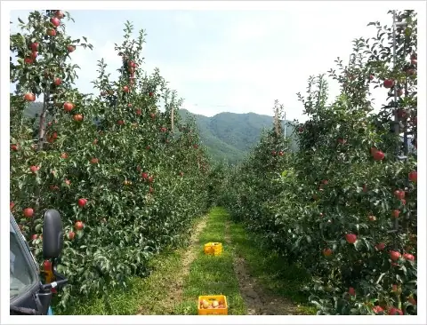 가재산농원 사진 2
