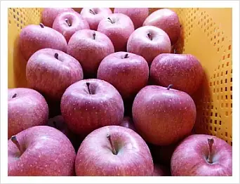 가재산농원 사진 3