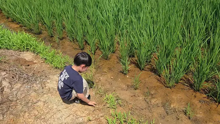 연두농장 사진 2