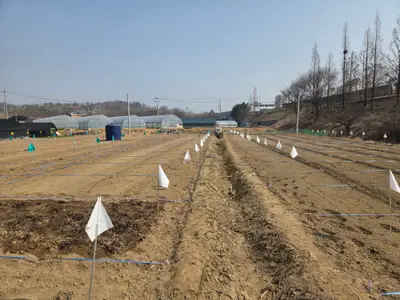 대원박촌주말농장