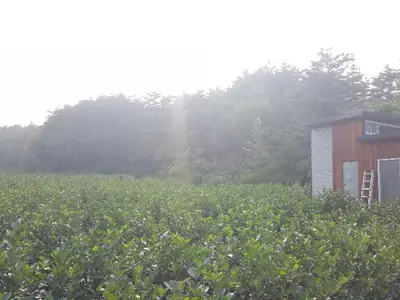 행복이가득한농장