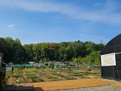 수서동힐링텃밭
