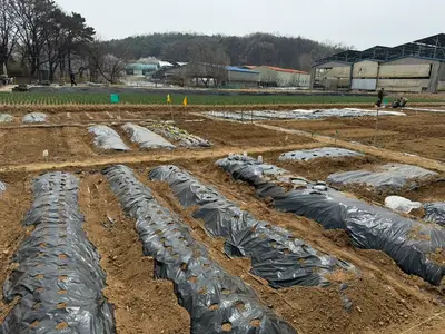 유퍼스트주말농장