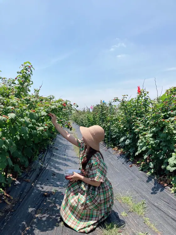 소담산딸기 사진 2